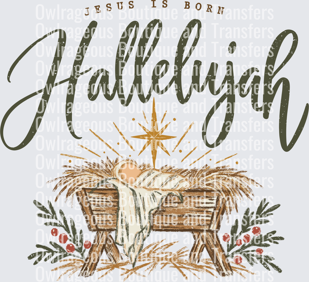 Jesus is Born