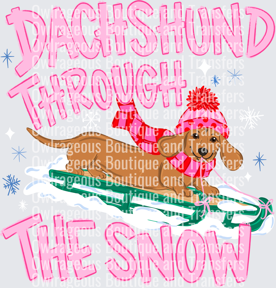 Dachshundthroughthesnow