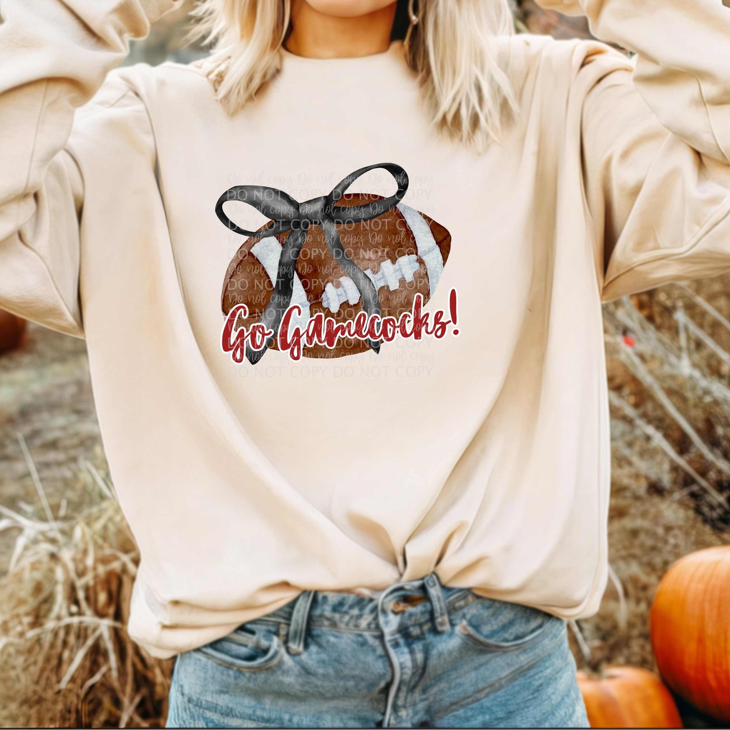 Go Gamecocks  - Football Bow - DTF TRANSFER