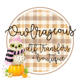 Owlrageous Boutique and Transfers