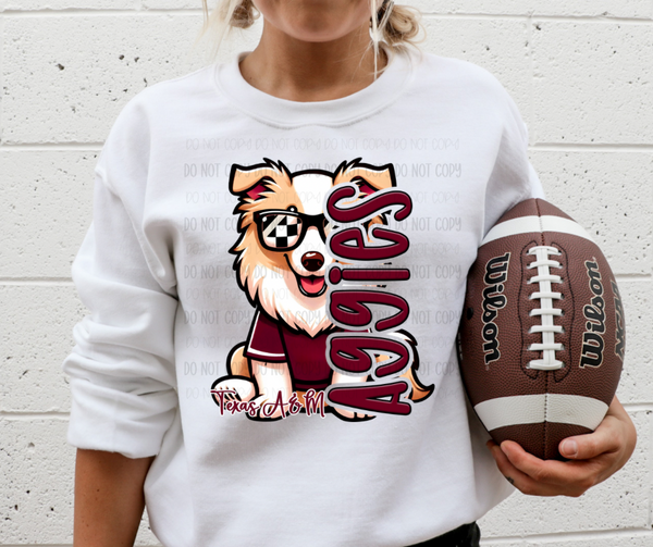 Texas A & M Aggies - DTF Transfer