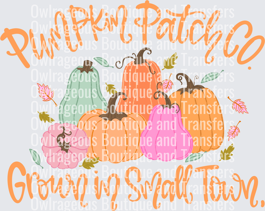 pumpkin patch co