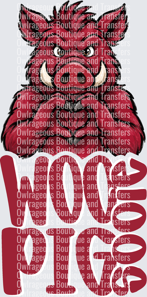 Arkansas Razorbacks