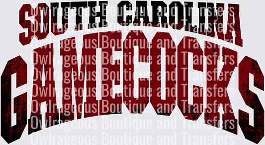 South Carolina Gamecocks blank