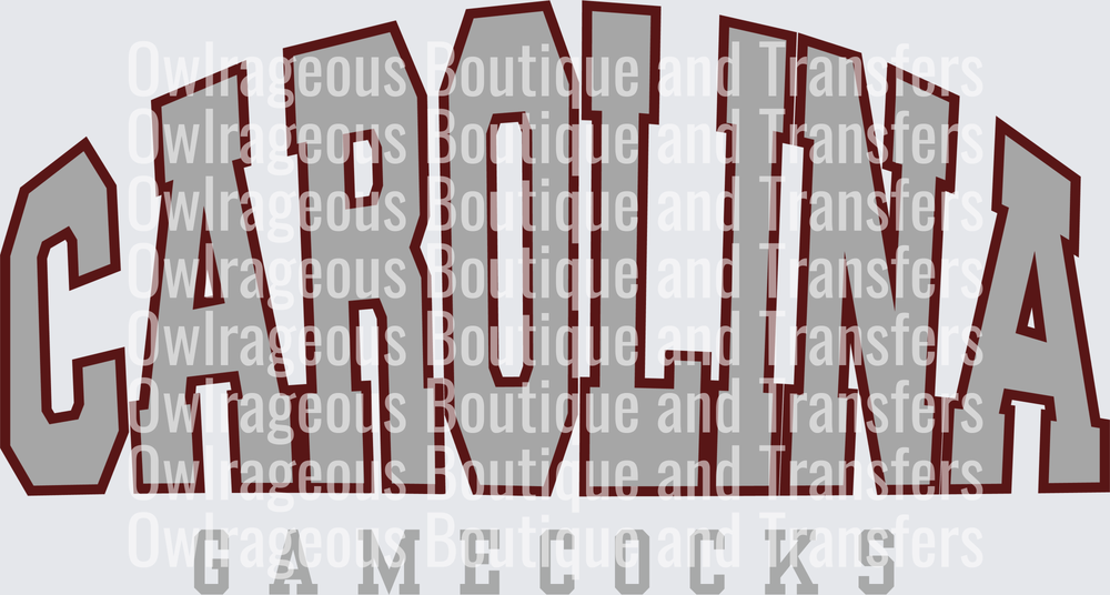 Carolina gamecocks grey arch