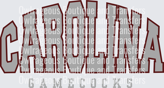 Carolina gamecocks grey arch
