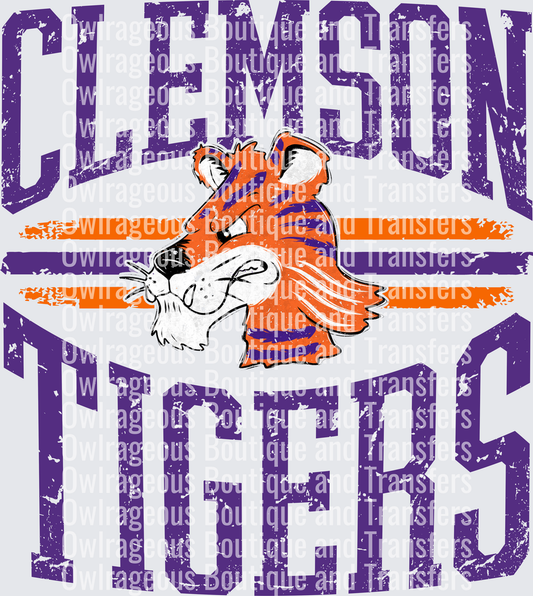 Vintage Clemson