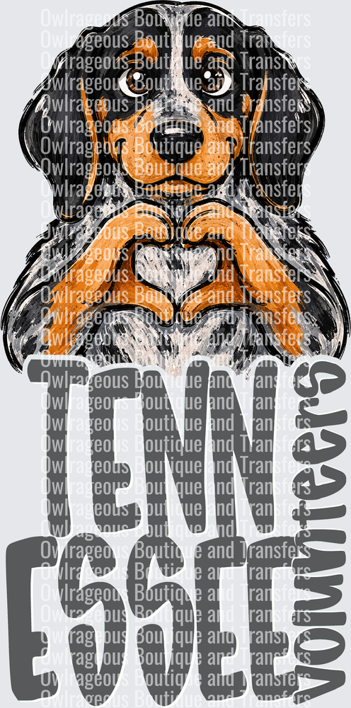 Tennessee Volunteers