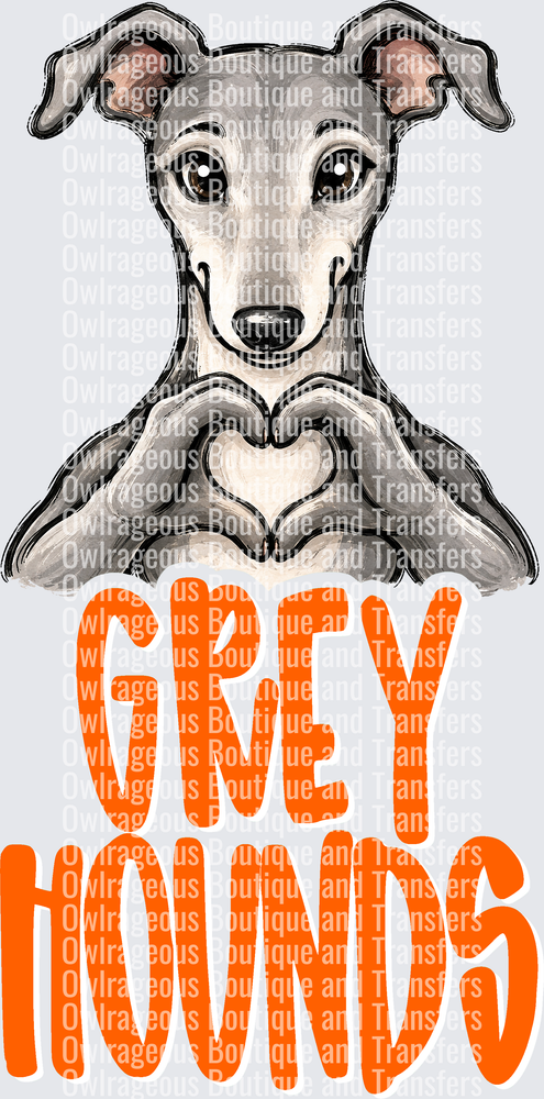 Greyhounds ORANGE
