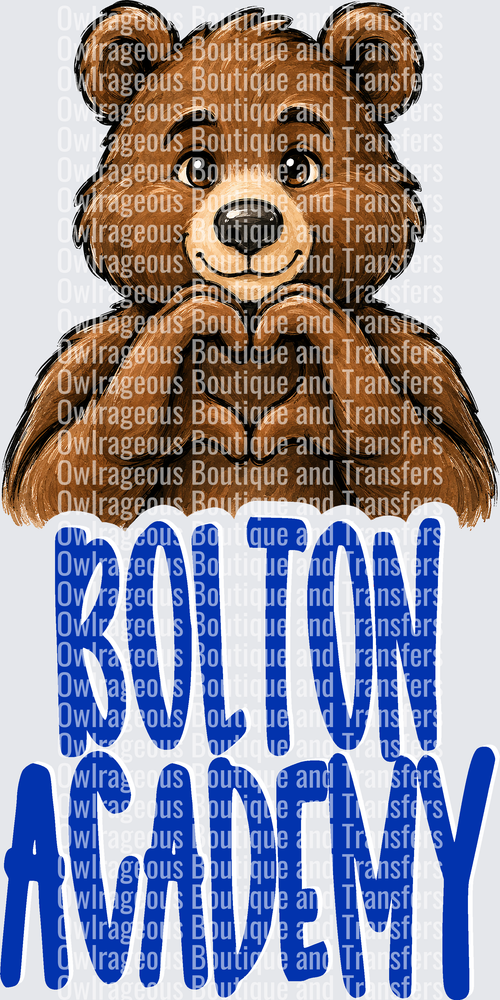 Bolton Academy